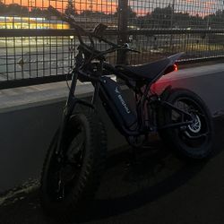 bigniu 1200w