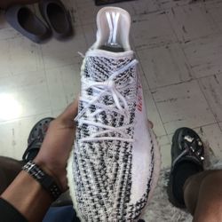 Adidas Zebra 350s 