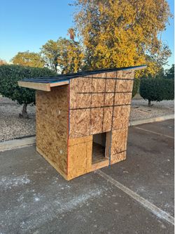 Dog house Huge