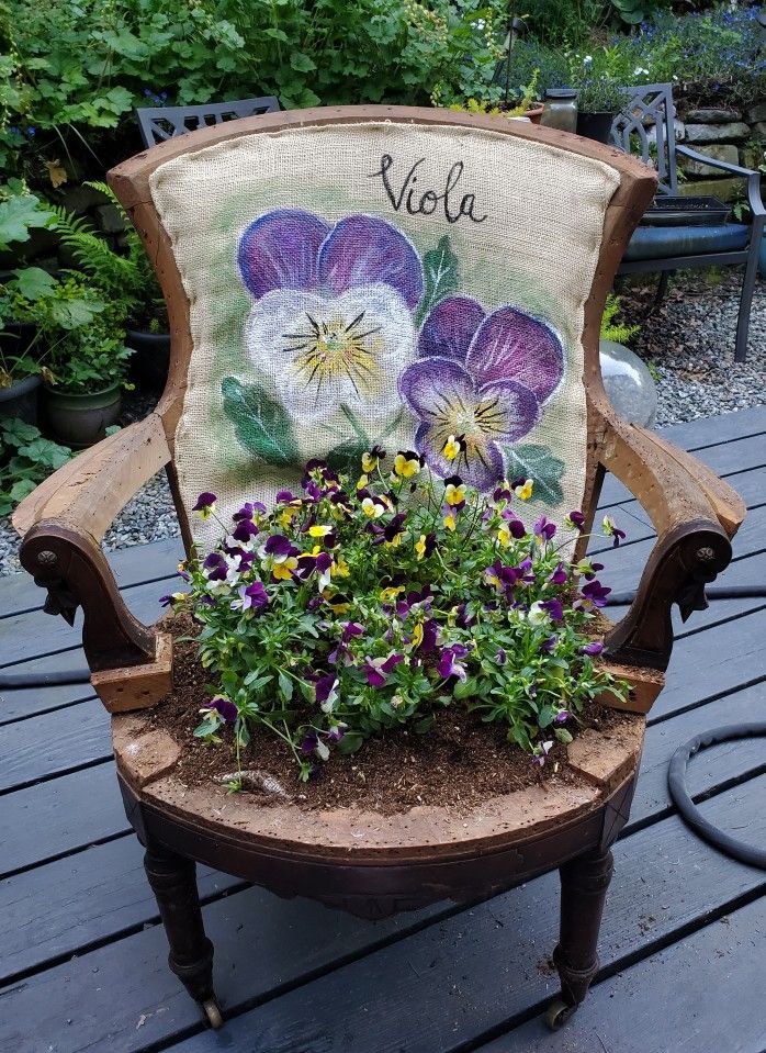 Cute Garden Chair With Real Viola Flowers