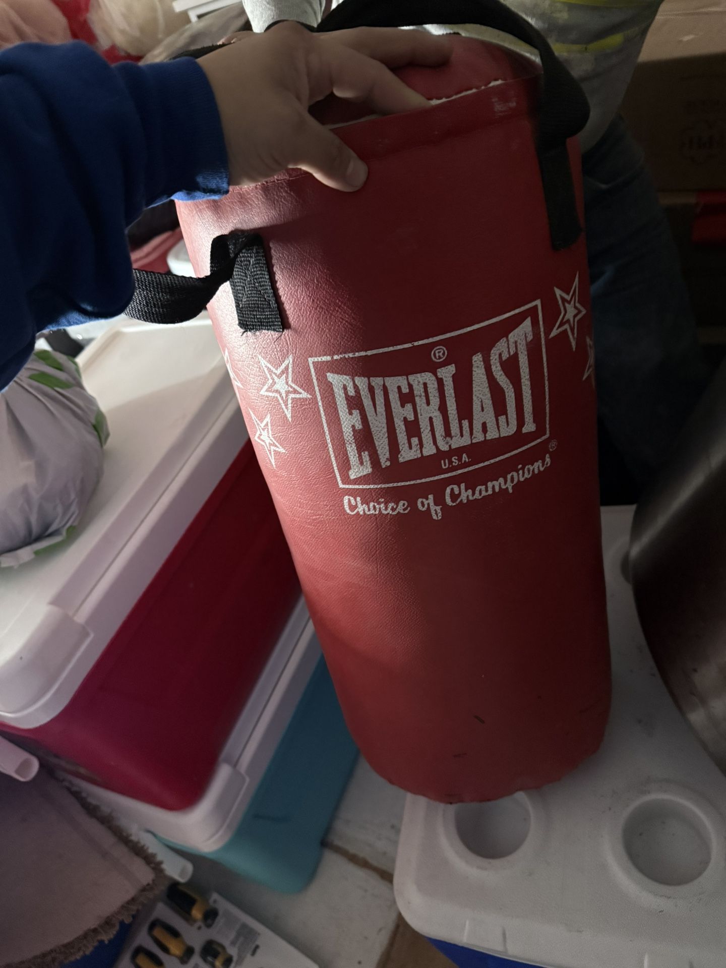 Everlast Punching Bag 