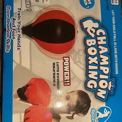New Kids Boxing Ball