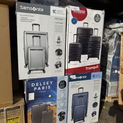 Samsonite  and Delecy Paris luggage for great deals