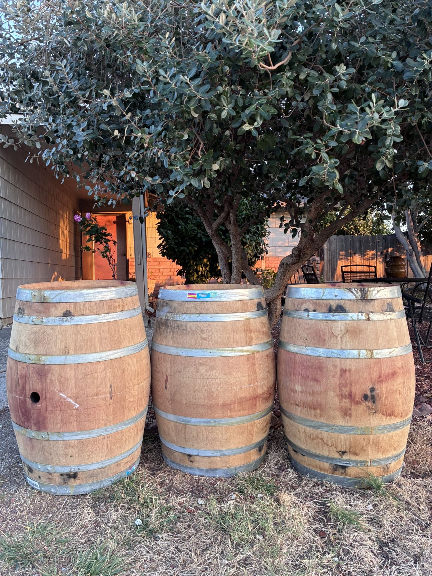 Wine Barrels