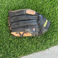 Wilson  Baseball