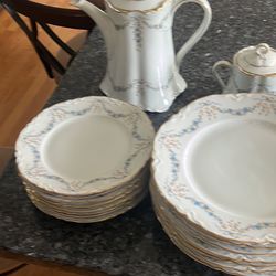 vintige Hutschenreuther chinna dinner set