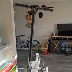 I Need To Get Rid Of Both