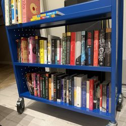 Bookcase Library Book Cart Blue Just Opened