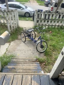 New Trike