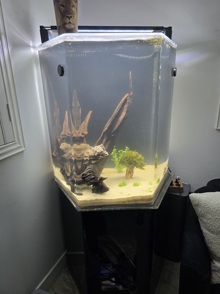 55 hexagon fish tank