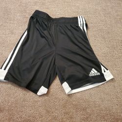 Boys Short Adidas Large Size