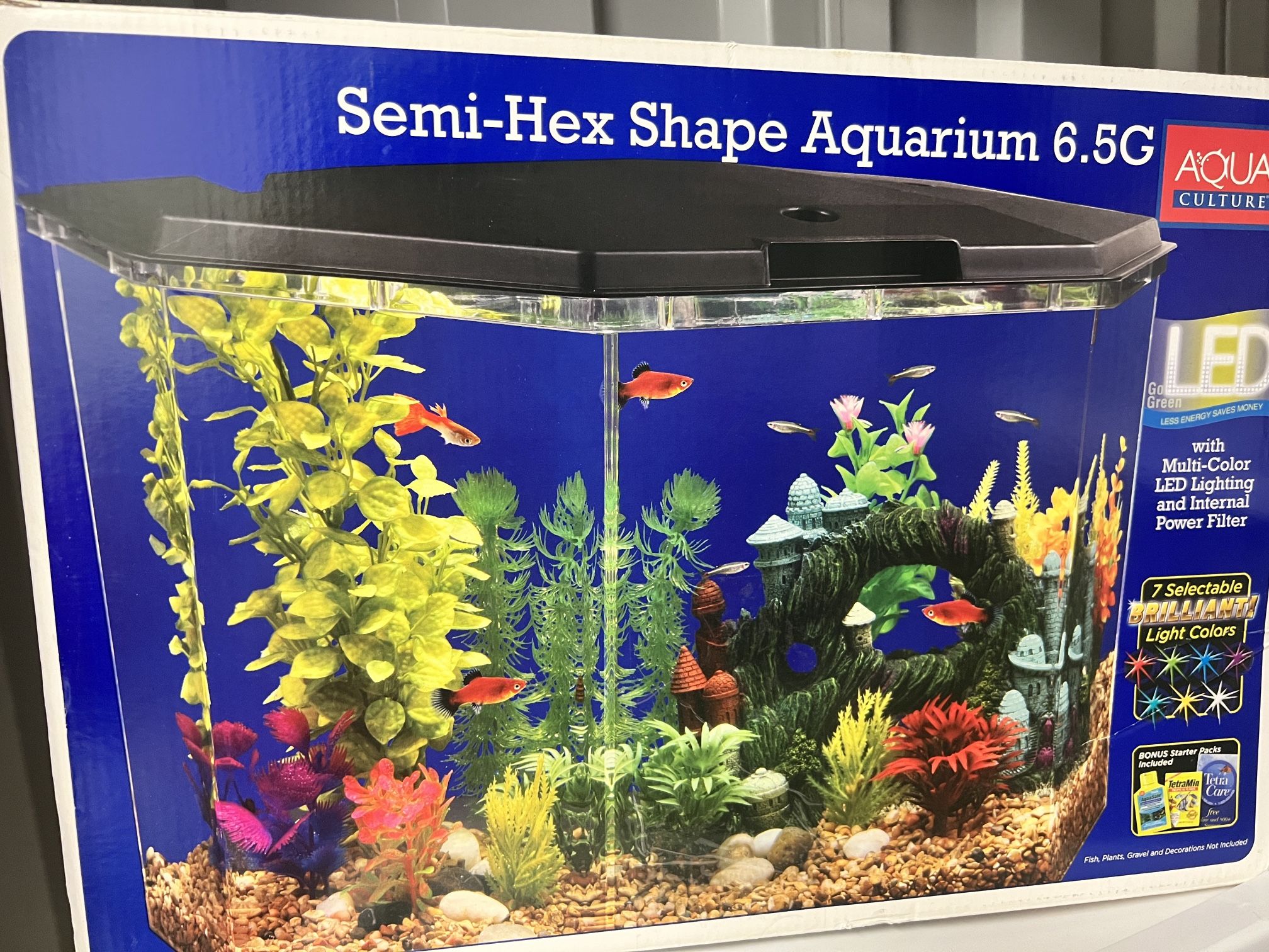 Aquarium 