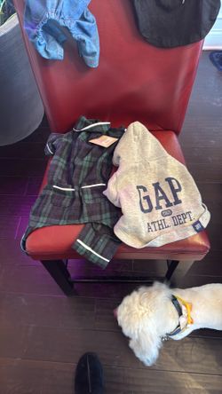 Boy Dog Outfits