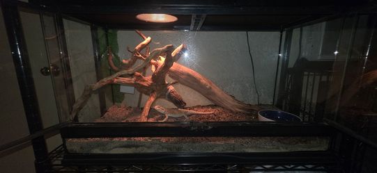 Zoo Med Bio Active Bearded Dragon Reptile Tank