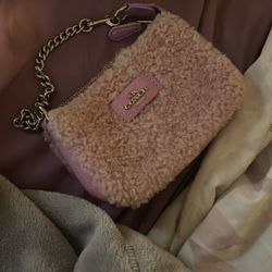 Coach Mini Purse 