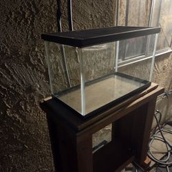 10 Gallon Aquarium W/ Stand!