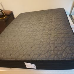 Sealy Queen Mattress And Box Spring 