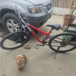 29 In Mountain Bike 
