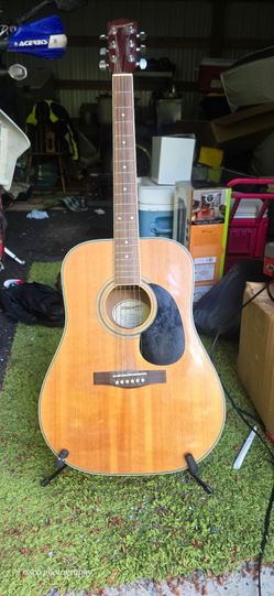 Acoustic guitar