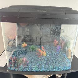 Fish Tank 