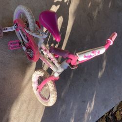 Toddler Bike