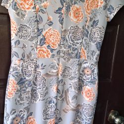 Banana Republic Dress  Size 6