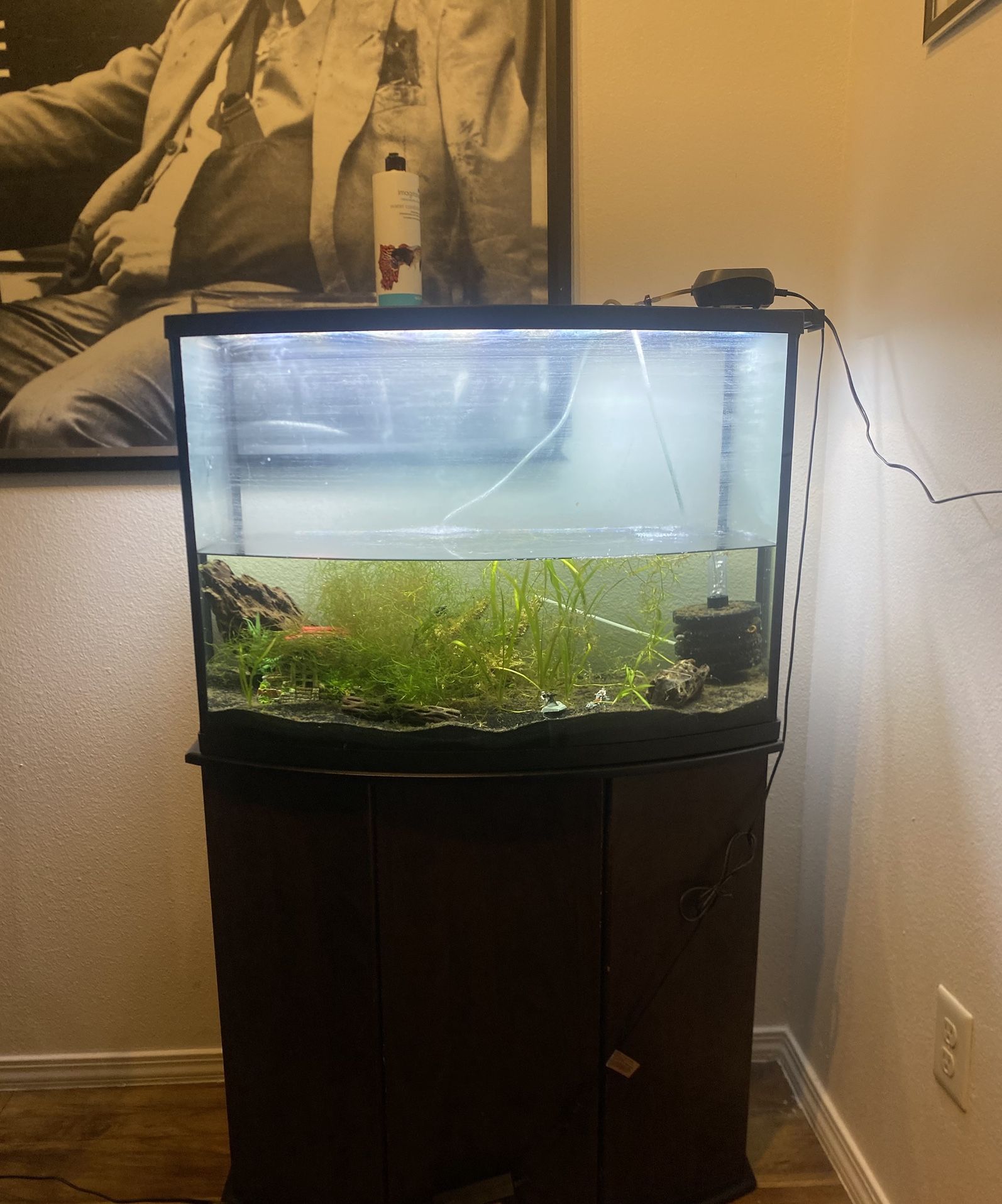 Fish Tank 35 Gallon