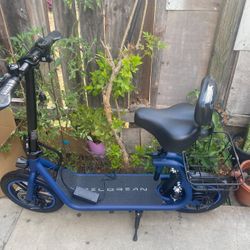 Electric Scooter 