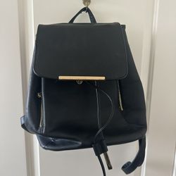 Black Pleather Purse/backpack