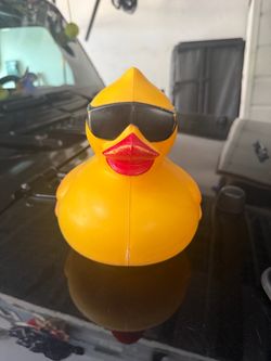 Big Duck
