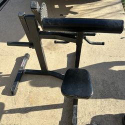 Tricep Bicep Machine Titan Fitness