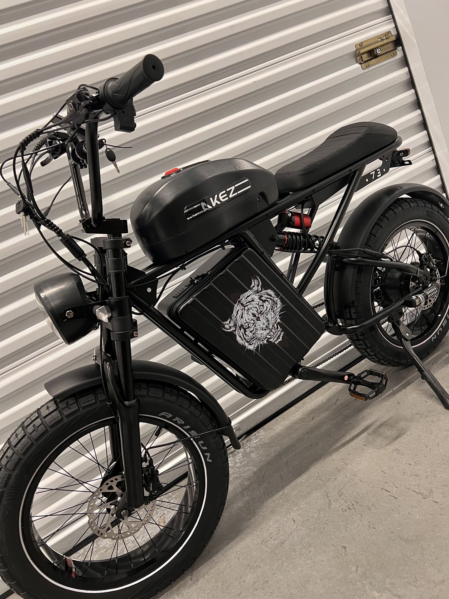 1500 Watt /48V, Electric E-Bike, 40mph, Center Case Carrier
