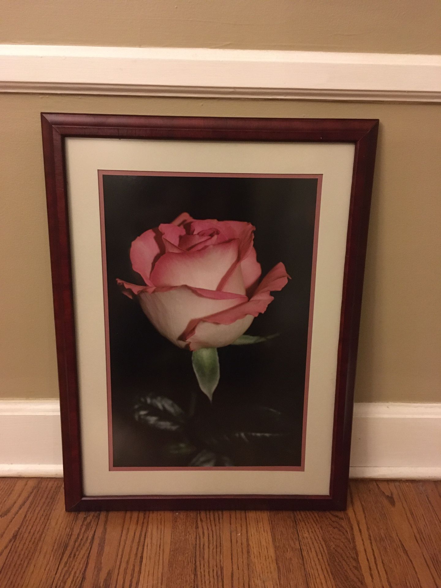 Rose Print (Custom Framed)