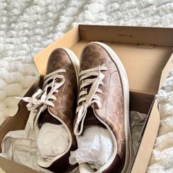 Women's High Line Signature Logo Coated Canvas Sneakers