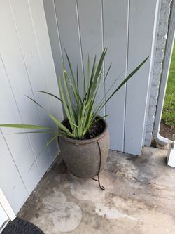 Large Stone Planter with Metal Stand