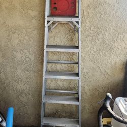 6ft Ladder 