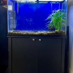 Aqueon 45gallon Aquarium Ensemble **CHEAP**