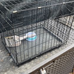 Jaula Para Mascota