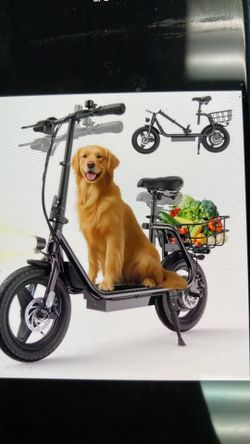 500W Foldable Electric Cargo Scooter with Pet Deck