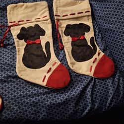 Dog Stockings 