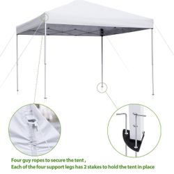 Pop Up Canopy 