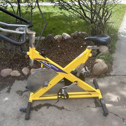 Lemon, rev master classic indoor bike