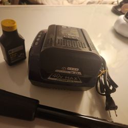 Ryobi Cordless Pole Saw