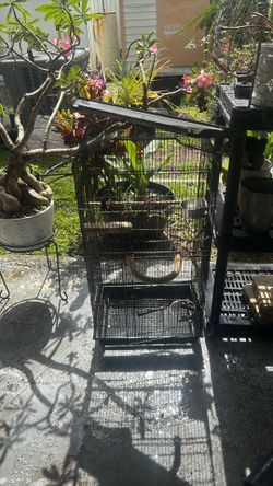 Tall, large birdcage