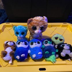 Big Eye Plushes Washed And Santized