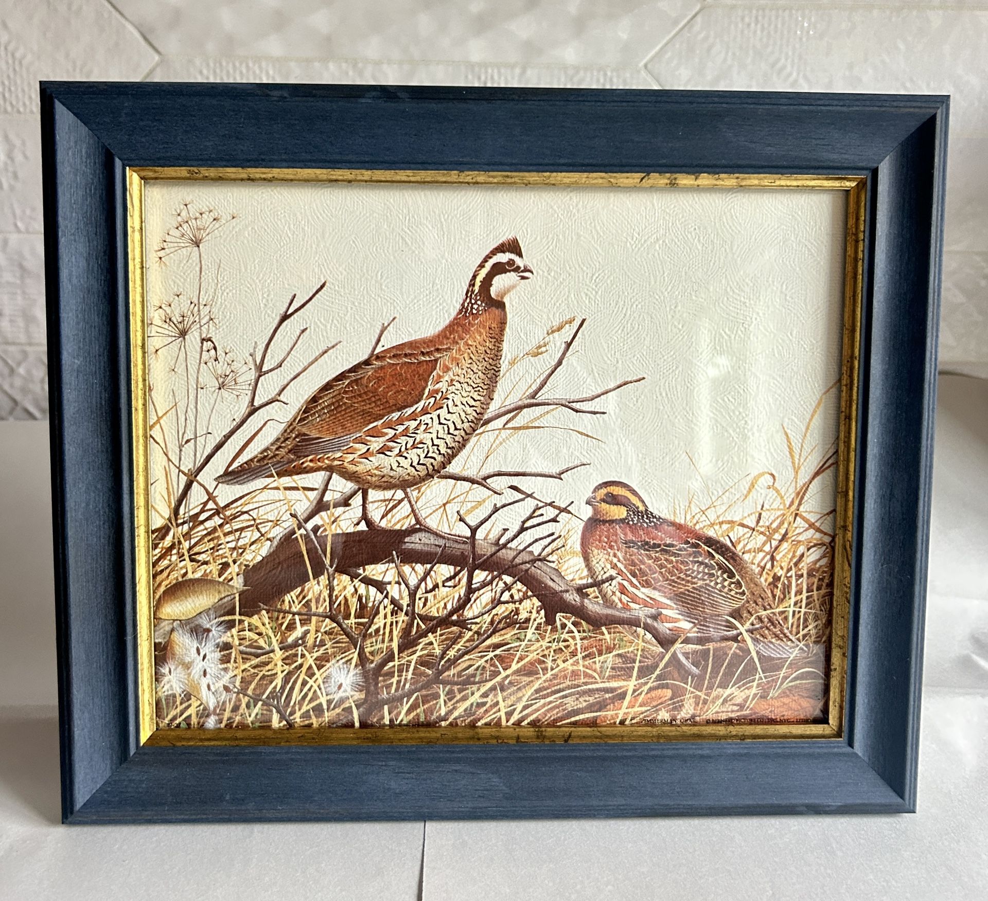 Vintage Framed “Quail” Lithograph By William Zimmerman