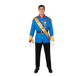Men's Prince Charming Costume, Med.