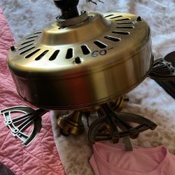 Calling Fan