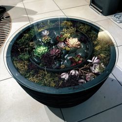 Terrarium Side Table / End Table 