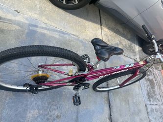 Raleigh Mountain Bike